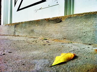 Illustration for article titled Shooting Challenge Fall Leaves Gallery 1